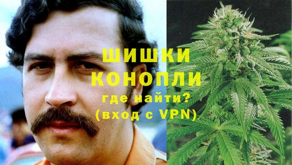 spice Осташков