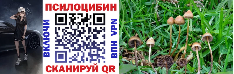 наркотики  Торопец  Галлюциногенные грибы мухоморы 
