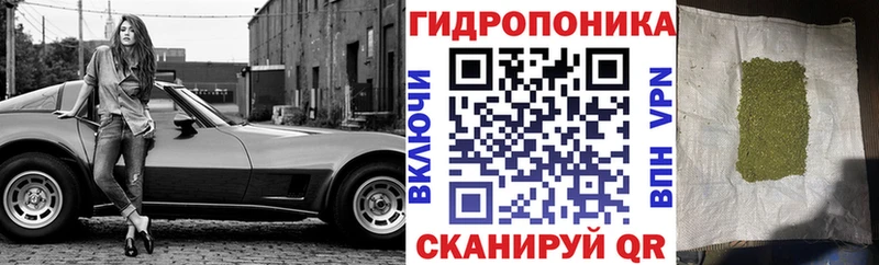 МАРИХУАНА семена  продажа наркотиков  Торопец 